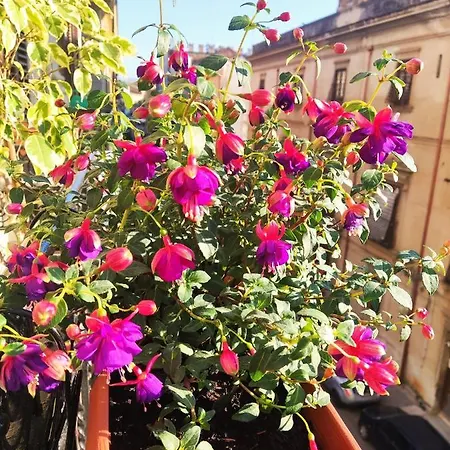 Bed & Breakfast Ausa 4*